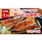 定期便 4回 うなぎ 蒲焼 約120g