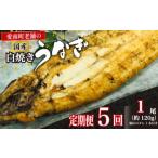 定期便 5回 うなぎ 蒲焼 約120g