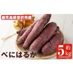 野菜類 サツマイモ 受付中 予定 新物 紅はるか 5kg