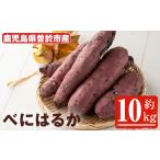 野菜類 サツマイモ 受付中 予定 新物 紅はるか 10kg