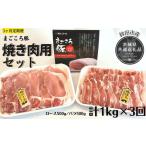 豚肉 ロース 3ヶ月定期便 まごころ豚 焼き肉セット 1kg