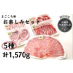 豚肉 ロース まごころ豚 お楽しみセット 共通返礼品