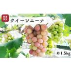 大粒ピオーネ 1.5kg