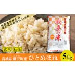 ふるさと納税 米 ひと