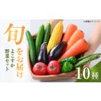 セット 詰合せ 横須賀産野菜セット 10種