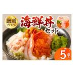 ふるさと納税 寿司 北海道 北見市 厳選 プレミアム海鮮丼セット 5個入 ( 海鮮丼 海鮮 イクラ ホタテ カニ ズワイガニ エビ 北海道 セット プレミアム 豪華 お…
