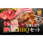 牛肉 焼肉 バーベキュー 黒豚&amp;黒牛BBQセット
