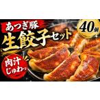餃子 生餃子 ぎょうざ 1個