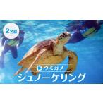 体験チケット ウミガメシュノーケリング 2名様