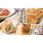 餃子 こだわりの奄美島豚餃子 A011-007