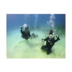 体験チケット 奄美島 体験ダイビング 1名様