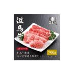 牛肉 焼肉 バーベキュー 但馬牛 赤身&amp;霜降り