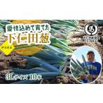 fu.... налог овощи вид лук порей Gunma префектура внизу . рисовое поле блок love . включено ..... внизу . рисовое поле .(3L 10шт.@)...... лук порей лук-батун король лук порей dono sama лук порей Special производство питание вдоволь бренд сверху ....