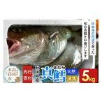 旬の鮮魚等 真鱈 メス 5kg