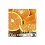 果物類 みかん 清見オレンジ約8kg 果実サイズおまかせ