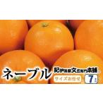 果物類 みかん ネーブル 約7kg
