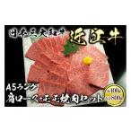 ふるさと納税 牛肉 焼肉・バーベキュー 滋賀県 草津市 近江牛 A5ランク 焼肉セット 800g( 肩ロース400g、モモ400g )
