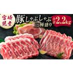 ふるさと納税 豚肉 ロース 宮崎県 新富町 宮崎県産 豚しゃぶしゃぶ三種盛り食べ比べセット 合計2.2kg B584