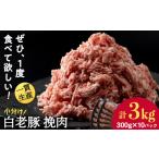 ふるさと納税 豚肉 北海道 白老町 北海道産 白老豚 挽肉 300g×10パック