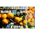 みかん 定期便 7回 温州みかんセット 頒布会