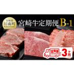 牛肉 ヒレ 定期便 宮崎牛3ヶ月定期便B‐1