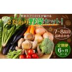 ふるさと納税 セット・詰合せ 長崎県 時津町 定期便 6ヶ月コース 野菜のプロ40年が届けるこだわり野菜セット 7〜8品目 詰め合わせ