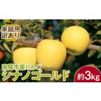ふるさと納税 りんご 山形県 南陽市  令和7年産先行予約 〈訳あり品 家庭用〉 りんご 「シナノゴールド」 約3kg (8〜12玉前後) 《令和7年10月中旬〜発送》 『…