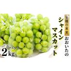 ふるさと納税 ぶどう マスカット 大分県 豊後高田市 《先行予約》至極の果実 シャインマスカット 2kg 大分県産 化粧箱入り 厳選 旬 高級 フルーツ マスカット …