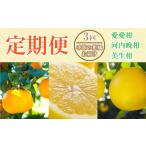 みかん 柑橘類 ゆず 定期便 3回 3ヶ月 ポンカン