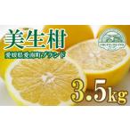 ふるさと納税 果物類 �