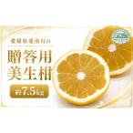 河内晩柑 樹齢 30年以上 7.5kg