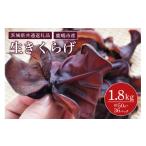 野菜類 きのこ きくらげ 1パック50g×36パック