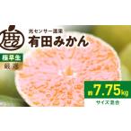 果物類 みかん 厳選 極早生有田みかん 約7.5kg+250g