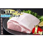 氷感熟成豚ロースブロック 1kg