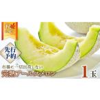 ふるさと納税 メロン メロン青肉 茨城県 筑西市 完熟 アールスメロン 1玉 2025年産 先行予約 メロン マスクメロン 青肉 果物 フルーツ 茨城県産 期間限定 数量…