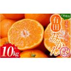 ふるさと納税 果物類 みかん 和歌山県 串本町 訳あり 農家直送 有田みかん 約10kg ご家庭用 サイズ混合 2025年11月中旬より順次発送予定(お届け日指定不可)…