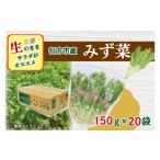 野菜類 AE-53 JAなめがたしおさい直送