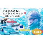 体験チケット イルカふれあいエンジョイパック