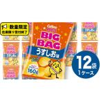 ふるさと納税 菓子 スナック 茨城県 牛久市 カルビー ポテトチップス BIGBAG 160g うすしお味 1ケース ( 12袋 ) ポテチ お菓子 おかし 大量 スナック おつま…