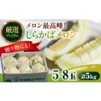 ふるさと納税 メロン メロン青肉 長崎県 南島原市  2026年3月中旬〜発送 平成新山メロンPREMIUM（とみちゃん厳選） しらかばメロン 5玉〜8玉 約5kg ／ メロン …