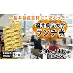 お食事券 県大レストラン 食事券 250円券×11枚綴り