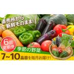 セット 詰合せ 6回定期便 直売所より発送