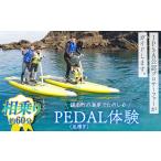 体験チケット PEDAL 足漕ぎ SUP体験