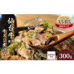 ふるさと納税 牛肉 宮城県 岩沼市 牛すじ 煮込み 300g レトルト 小分け 冷凍 和牛 仙台牛 A5 B5 牛丼 肉うどん 具材 ブランド肉 牛スジ 肉 お肉 国産 惣菜 お…