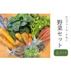 fu.... налог комплект *... Chiba префектура . улица город L размер знаменитый shef поставщик eko ферма *a Sano. овощи комплект ... овощи набор свежий прямая поставка от производителя 