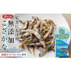 菓子 給食使用で安心の無添加こざかな F21K-686