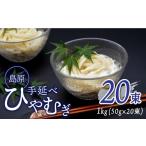 ふるさと納税 麺類 冷麦 長崎県 南�