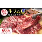 羊肉 生ラム 冷凍 タレ付 600g