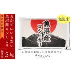 ふるさと納税 無洗米 新潟県 南魚沼市 令和7年産新米予約 おかずのいらない 魚沼産コシヒカリ 無洗米5kg 令和7年産 2025年10月上旬より順次発送予定
