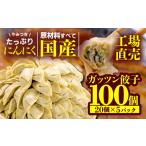 ふるさと納税 静岡県 沼津市 餃子 にんにく 100個 20個 5パック ジューシー 冷凍 食品 小分け ガッツン餃子 松福 国産 豚肉 おつまみ